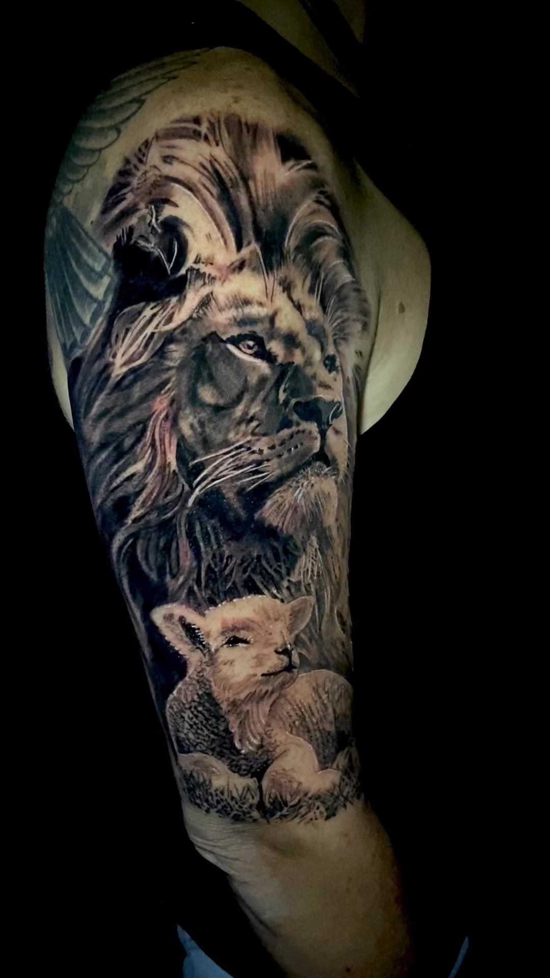 Video by Elvis Lee Martin on November 04, 2025.